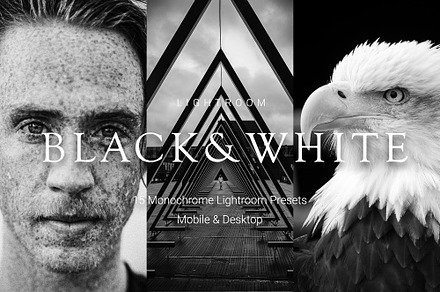 15 Monochrome Lightroom Presets, a Preset Add-On by VividFrame