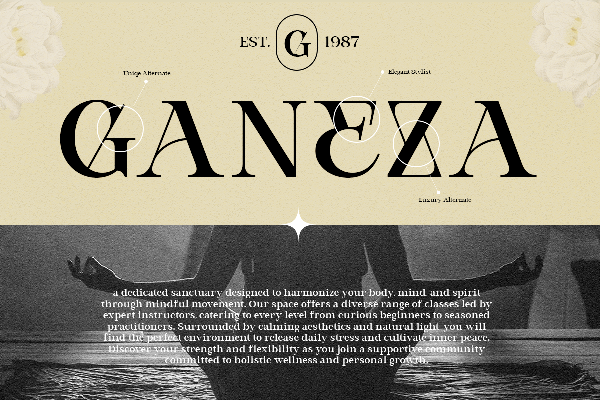 Modern Elegant Serif - Bevola, a Serif Font by RagamKata (Photo 3 of 10)