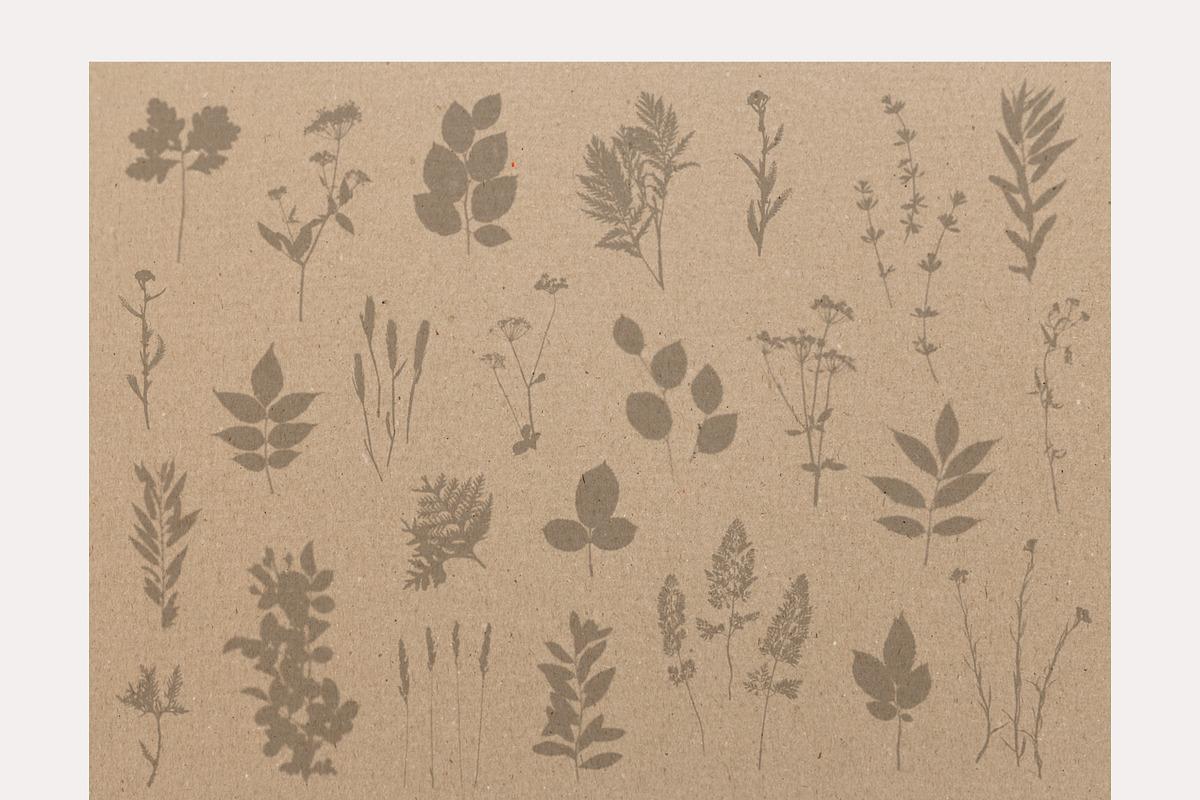 Shadow & Light Overlays Big Pack, a Texture Graphic by Mint Air Studio (Photo 9 of 12)