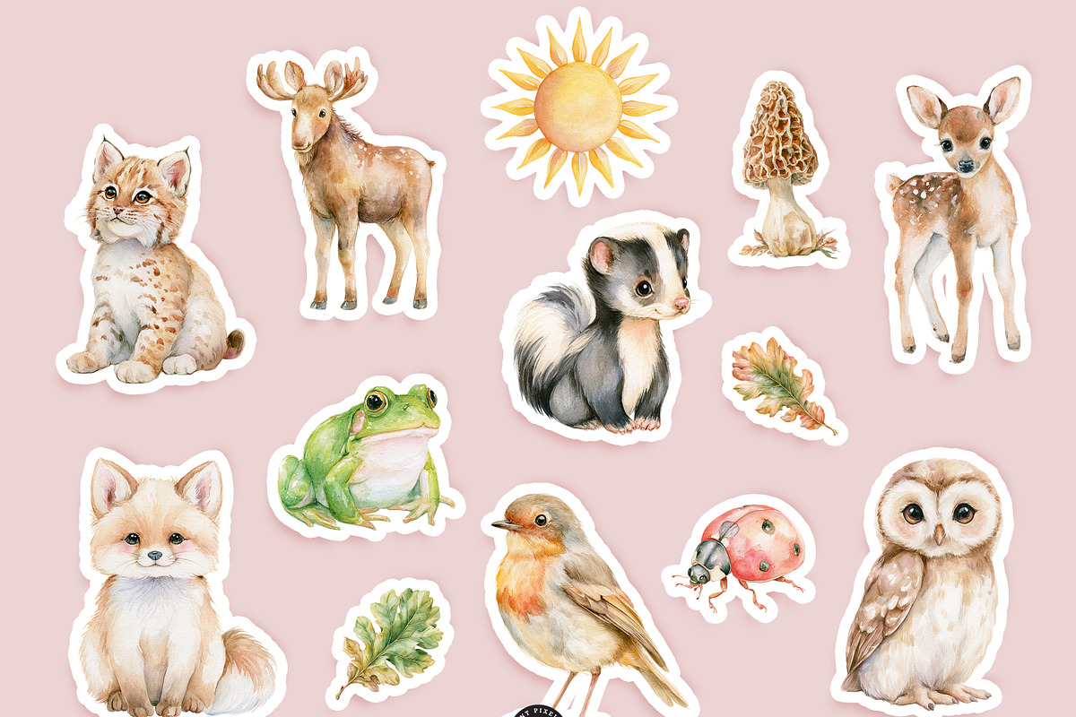 Woodland Atelier Clipart Bundle, an Animal Illustration by PaintPixelCo (Photo 13 of 15)