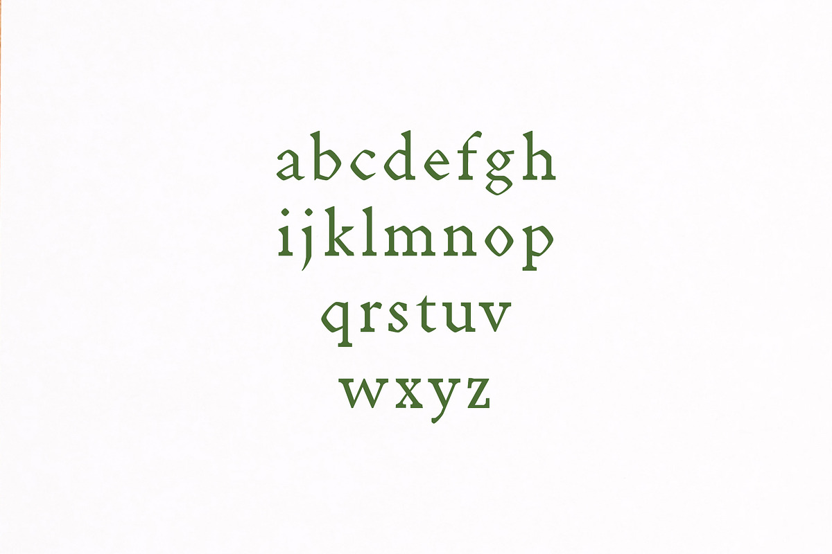 Achazia Serif Font Family Pack preview 3