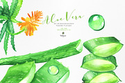 Fresh Watercolor Aloe Vera Set, a Healthcare Illustration by beehouse studio (Thumbnail 9 of 9)