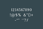 Liquefier Elegant Serif Font, a Serif Font by UICreative (Thumbnail 8 of 13)
