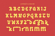 Funky Madness - Retro Font, a Script Font by AQR Studio (Thumbnail 8 of 9)