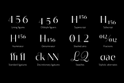 Blacker Sans - 60 + 3 variable fonts, a Sans Serif Font by Zetafonts (Thumbnail 13 of 15)
