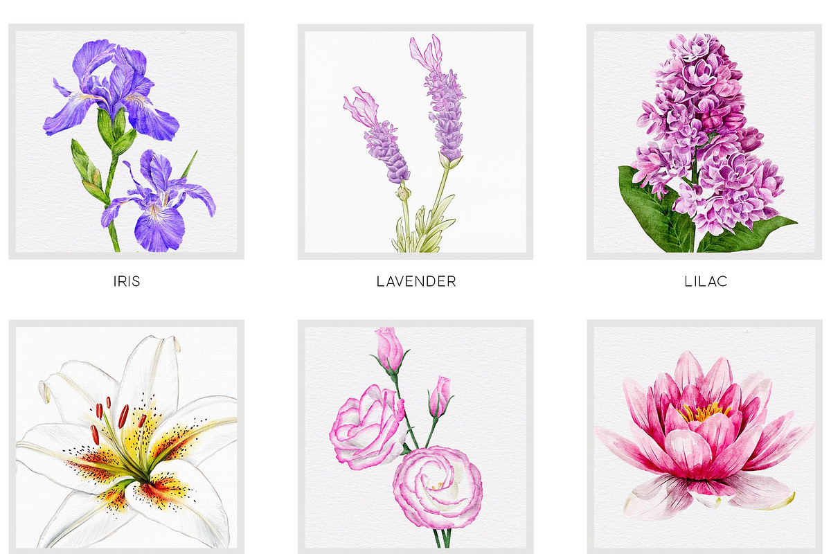 Fun Floral Sketchbook Practices, a Brush Add-On by Pretty Little Lines (Photo 14 of 17)