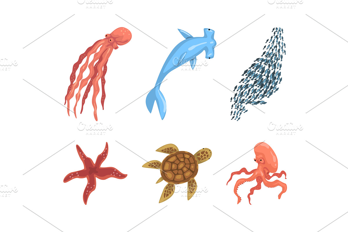 Fish and Marine Mammals as Sea and, an Animal Illustration by TopVectors