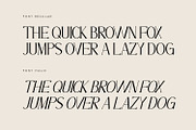 Zelvian - Modern Serif Font, a Serif Font by Rishsketch (Thumbnail 11 of 15)
