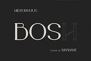 Bosch Display Font, a Serif Font by iframe fonts (Thumbnail 12 of 14)