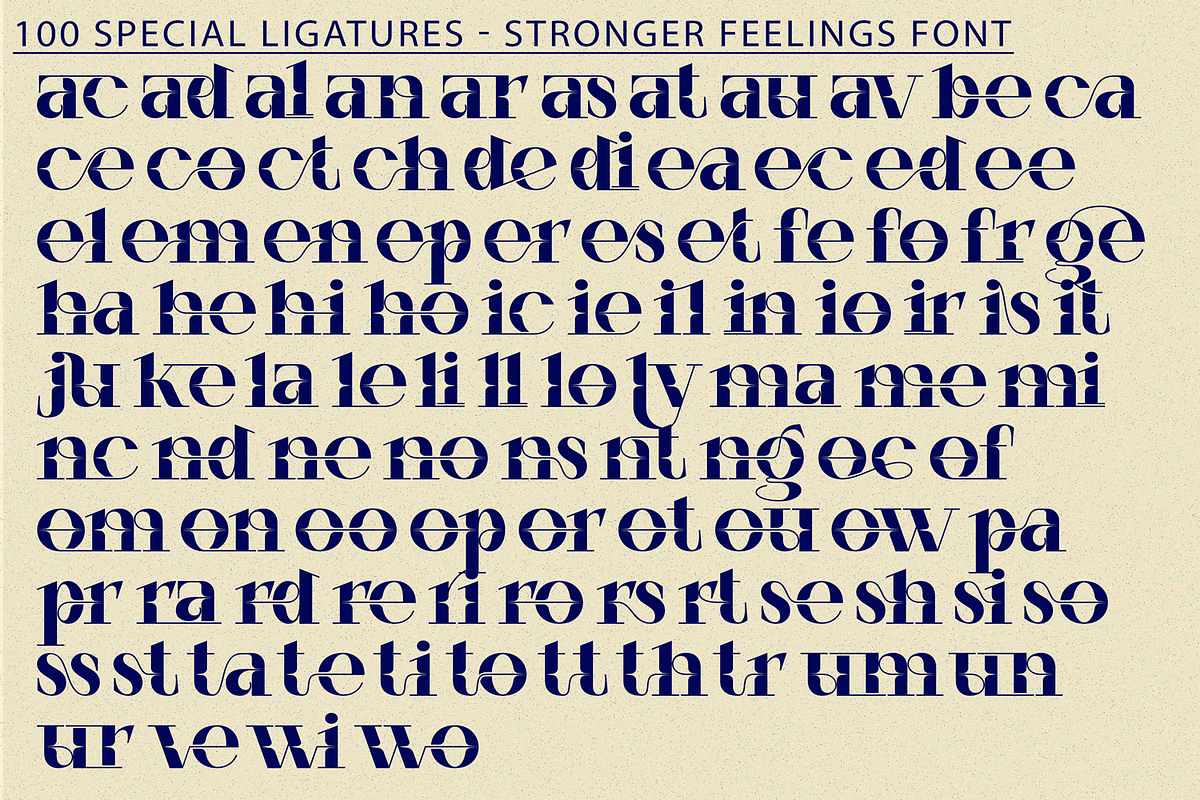 Stronger Feelings Font, a Serif Font by 177Studio (Photo 8 of 9)