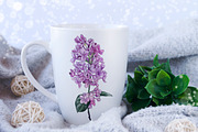 Lilac. Floral watercolor clipart, an Object Graphic by JSolomatina (Thumbnail 3 of 5)