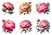 Watercolor Pink Peonies Clipart PNG, an Illustration by designcity5 (Thumbnail 2 of 5)