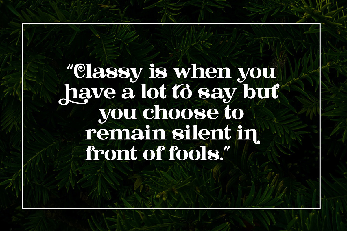 Bastine - Modern Classy Serif Font, a Serif Font by Afkari Studio (Photo 12 of 16)