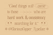 Glorious Copper Family, a Serif Font by Lettertype Studio (Thumbnail 5 of 20)
