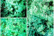 Dirty blue abstract,Recycled chirpy, an Abstract Photo by Manis recycle abstract (Thumbnail 2 of 3)