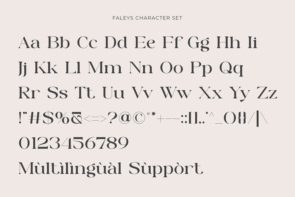 Faleys - Modern Serif Typeface, a Serif Font by Muflieart (Photo 9 of 10)