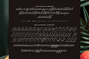 Roast Ritual, a Script Font by operatype.co (Thumbnail 14 of 15)