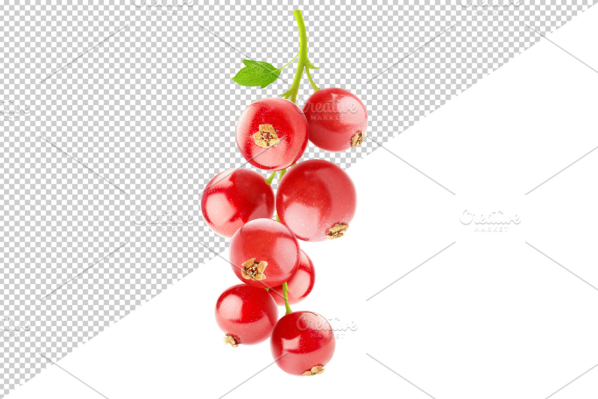 Bunch of red currants preview 3