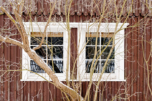 Window overgrown with frozen tree, an Architecture Photo by BOOCYS