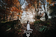 Wedding Lightroom Preset Collections, an Action Add-On by PixelHive Pro (Thumbnail 28 of 36)