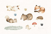 The Woodland Alphabet, an Animal Illustration by Flora+Bear (Thumbnail 8 of 16)
