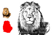 Sketch Tracing Photoshop Action, an Action Add-On by MRI STUDIO (Thumbnail 7 of 19)