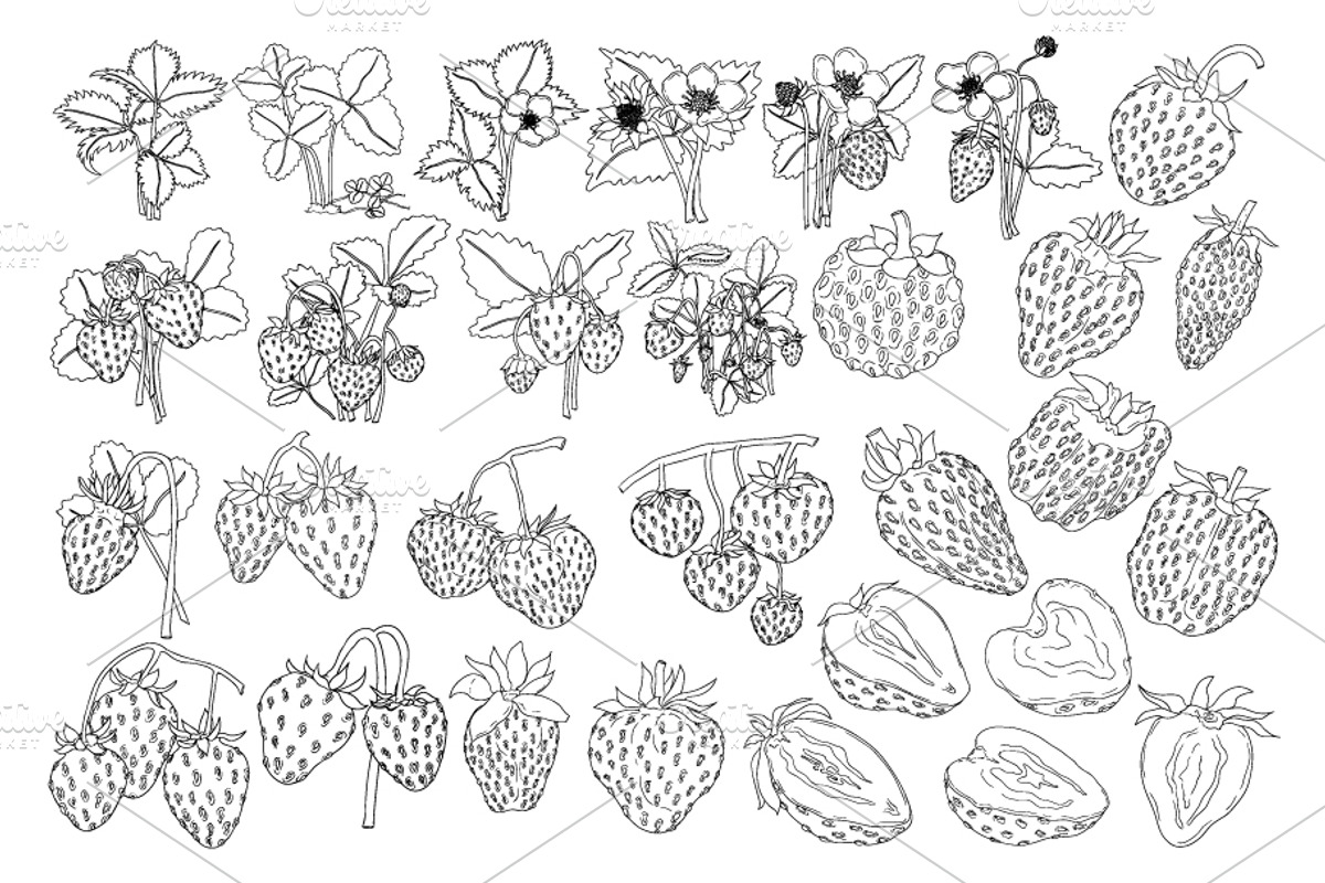 Strawberry, a Food Illustration by Elena Mykhailenko (Photo 2 of 4)