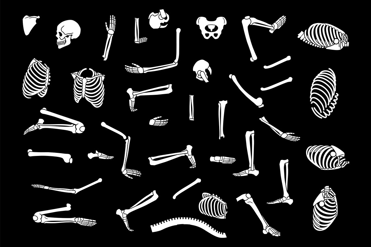 KAMASUTRA with skeletons, an Illustration by Tanya Akhmett (Photo 8 of 14)