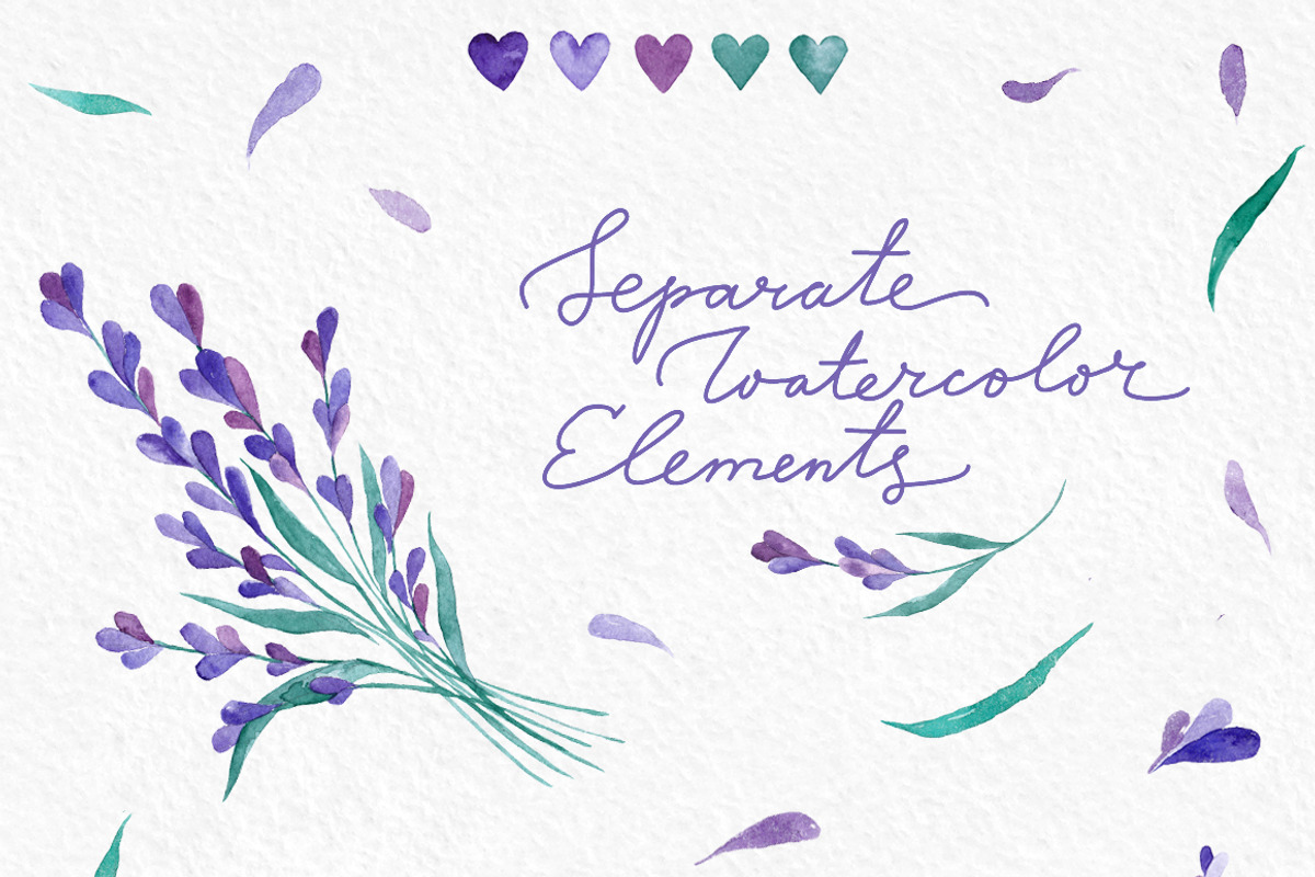 Watecolor Lavender Clip Art Set, an Illustration by Yashroom (Photo 6 of 7)