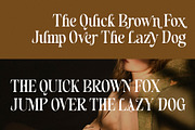 Blenisa Modern Beautiful Font, a Serif Font by RantautypeStudio (Thumbnail 16 of 17)