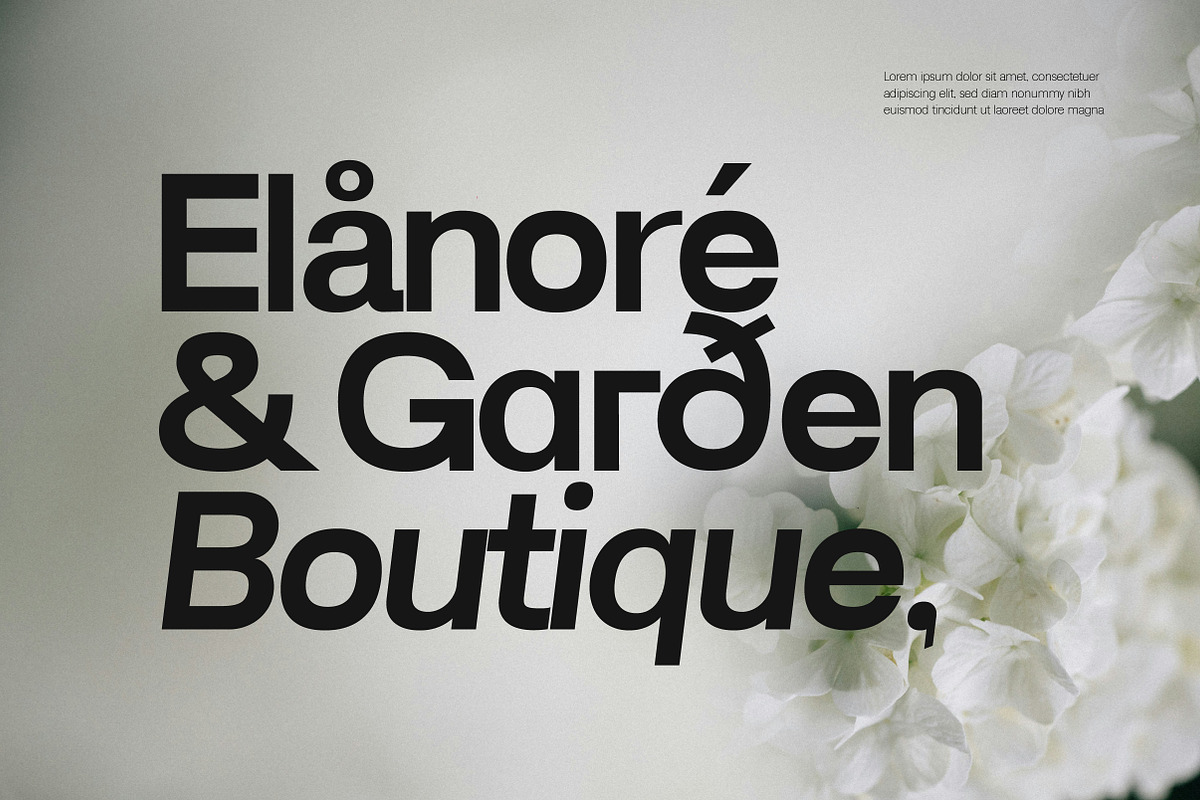 Lenia Sans Family | Intro 75% OFF, a Sans Serif Font by Lettertype Studio (Photo 14 of 15)