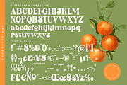 Sunday Ginger Vintage Serif, a Serif Font by timelesstype.co (Thumbnail 18 of 20)