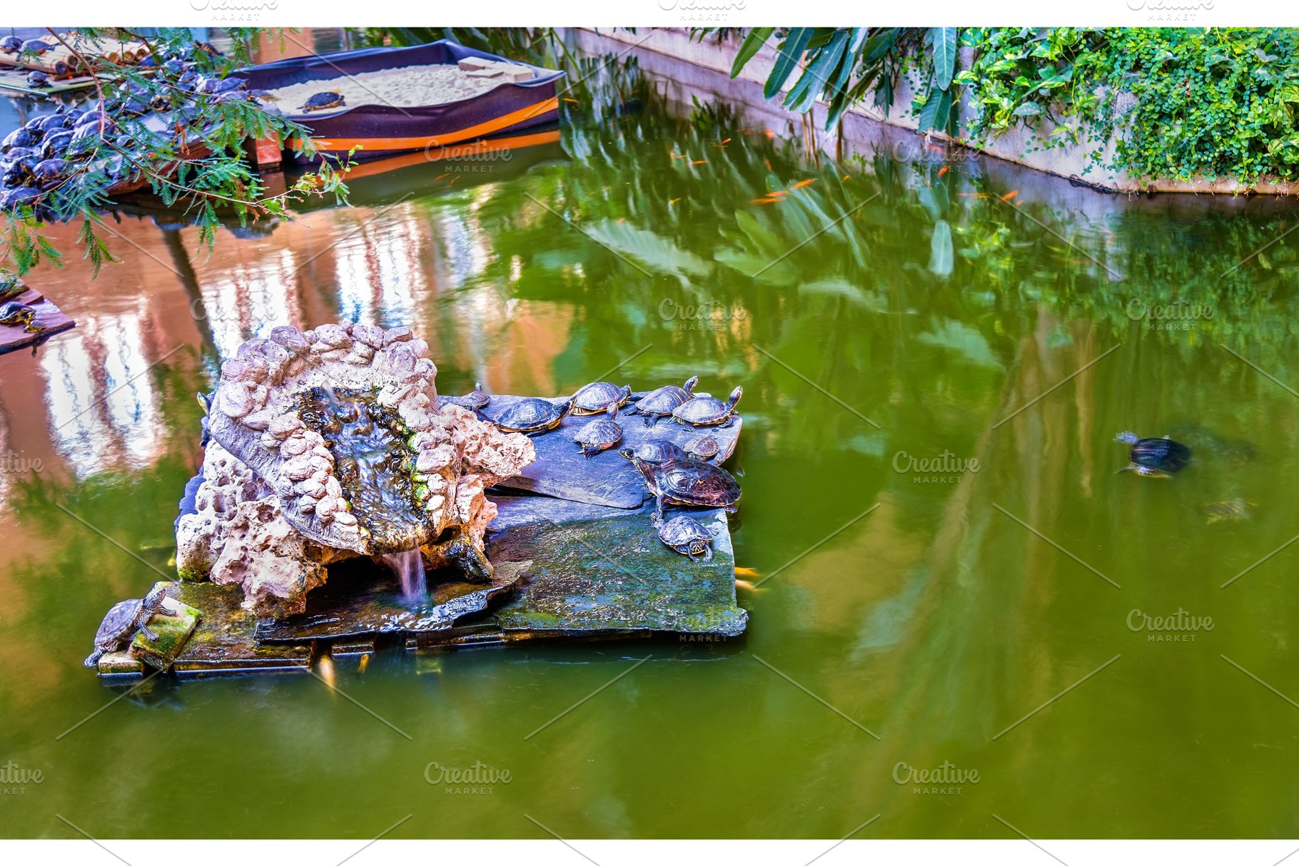 Green water turtles in an artificial pond at the Atocha station - Madrid, Spain, an Architecture Photo by Leonid Andronov