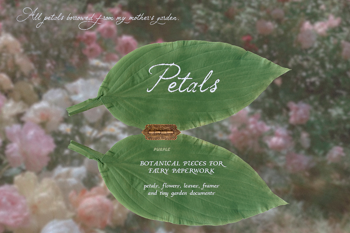 Petals Garden Collage Kit, an Object Graphic by Purple (Photo 15 of 15)