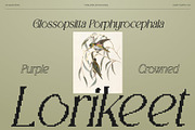CS Giova Pixel, a Serif Font by Craft Supply Co. (Thumbnail 2 of 8)