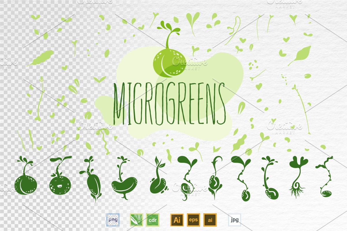 Microgreens Vector Set, an Object Illustration by ElenaKovalyova (Photo 4 of 7)