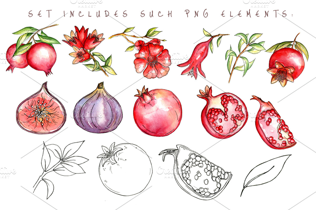 Juicy pomegranate, an Object Graphic by artdreamer (Photo 5 of 9)