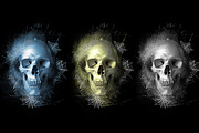 Spider Webs Photoshop Action, an Action Add-On by yantodesign (Thumbnail 4 of 5)