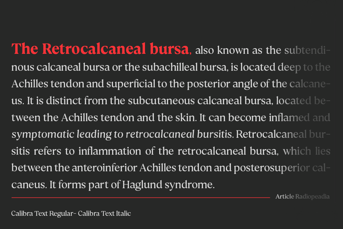 Calibra Text 18 Fonts- Save 40%, a Serif Font by Mulkan Nazir (Photo 3 of 12)