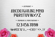 Flarina, a Slab Serif Font by Heybrinc Studio (Thumbnail 2 of 6)