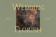 Quiana Serif, a Serif Font by Alphaleonis_std (Thumbnail 3 of 9)
