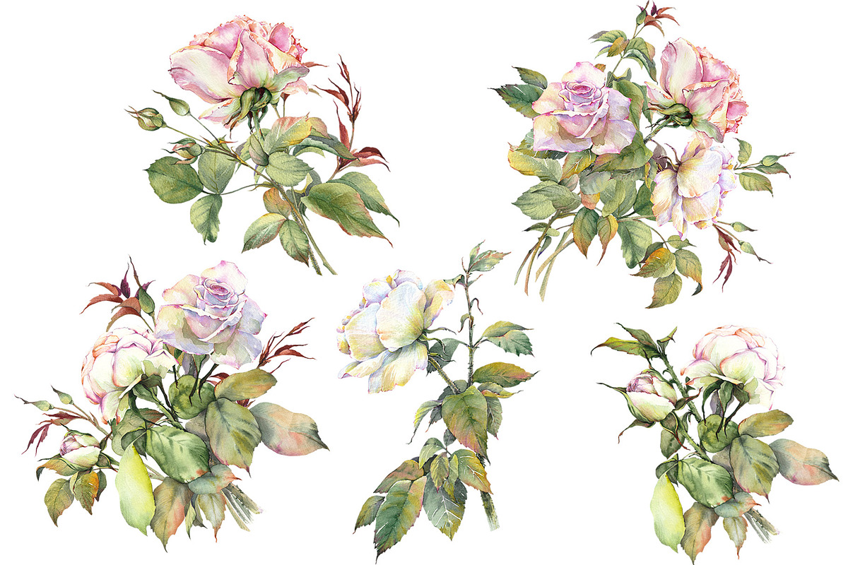 Romantic Watercolor Rose Clipart, a Decorative Illustration by Jeanna Draw (Photo 4 of 17)