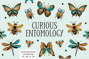 Curious Entomology Collection