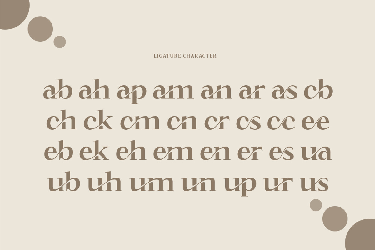 Bogesta, a Serif Font by Mantype Studio (Photo 5 of 16)