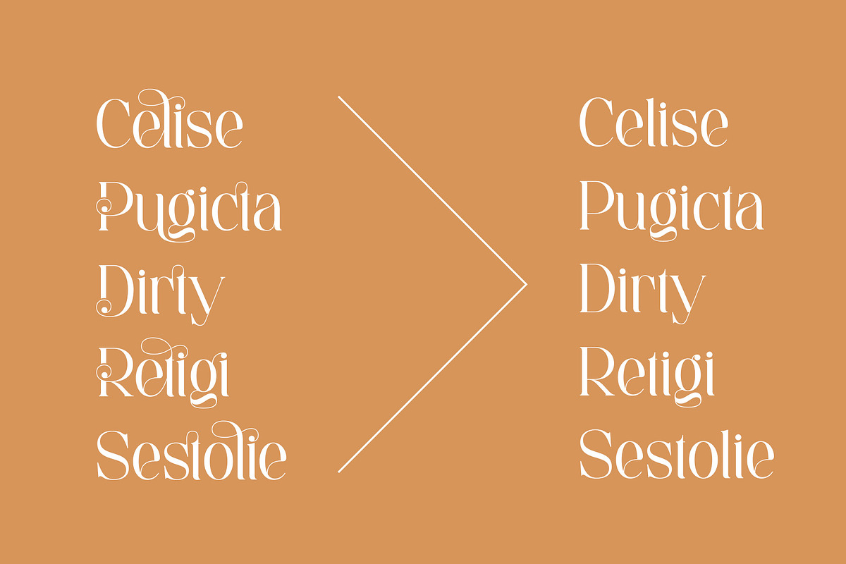 Daeling - Modern Serif Font, a Serif Font by Aqeel_Art (Photo 8 of 12)