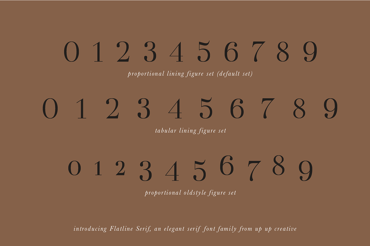 Flatline Serif Complete - 16 fonts, a Serif Font by Up Up Creative (Photo 8 of 13)