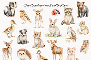 Woodland Atelier Clipart Bundle, an Animal Illustration by PaintPixelCo (Thumbnail 7 of 15)