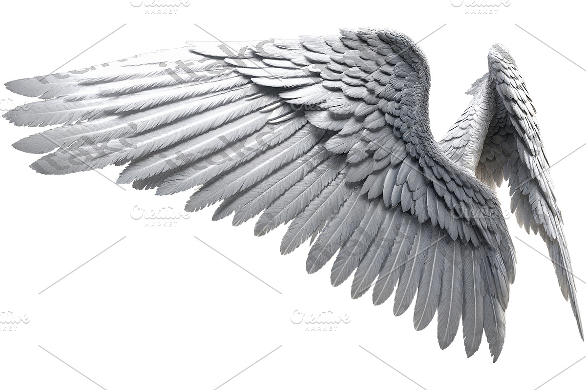 set of photorealistic angel wings, an Object Graphic by itakdalee (Photo 9 of 11)