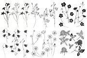 Wildherbs and flowers., an Object Graphic by maritime_m (Thumbnail 4 of 8)