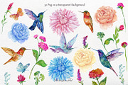 Tropical Birds Hummingbird Flowers, an Illustration by MitrushovaArt (Thumbnail 2 of 5)